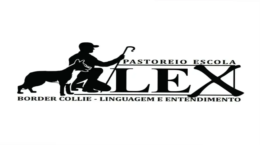 Dossiê Técnico: Instintos do Border Collie e Manejo Eficiente 1 Curso de Memorização PDF Treinador Leandro Santos demonstrando a comunicação instintiva entre Border Collie e rebanho
