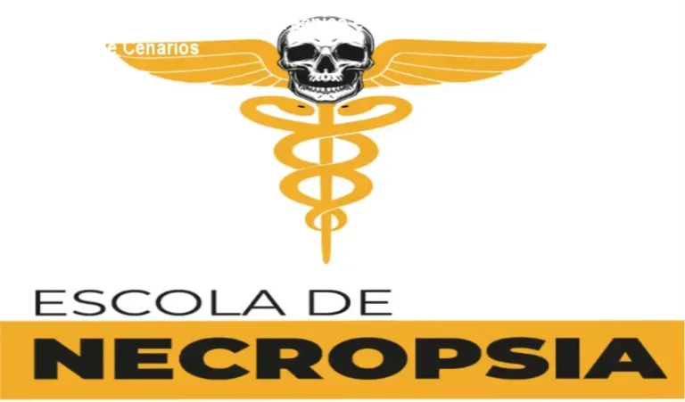 Escola de Necropsia: Dossiê Técnico e Análise de Cenários 3 Curso de Memorização PDF Representação técnica da grade curricular e cenários de atuação da Escola de Necropsia