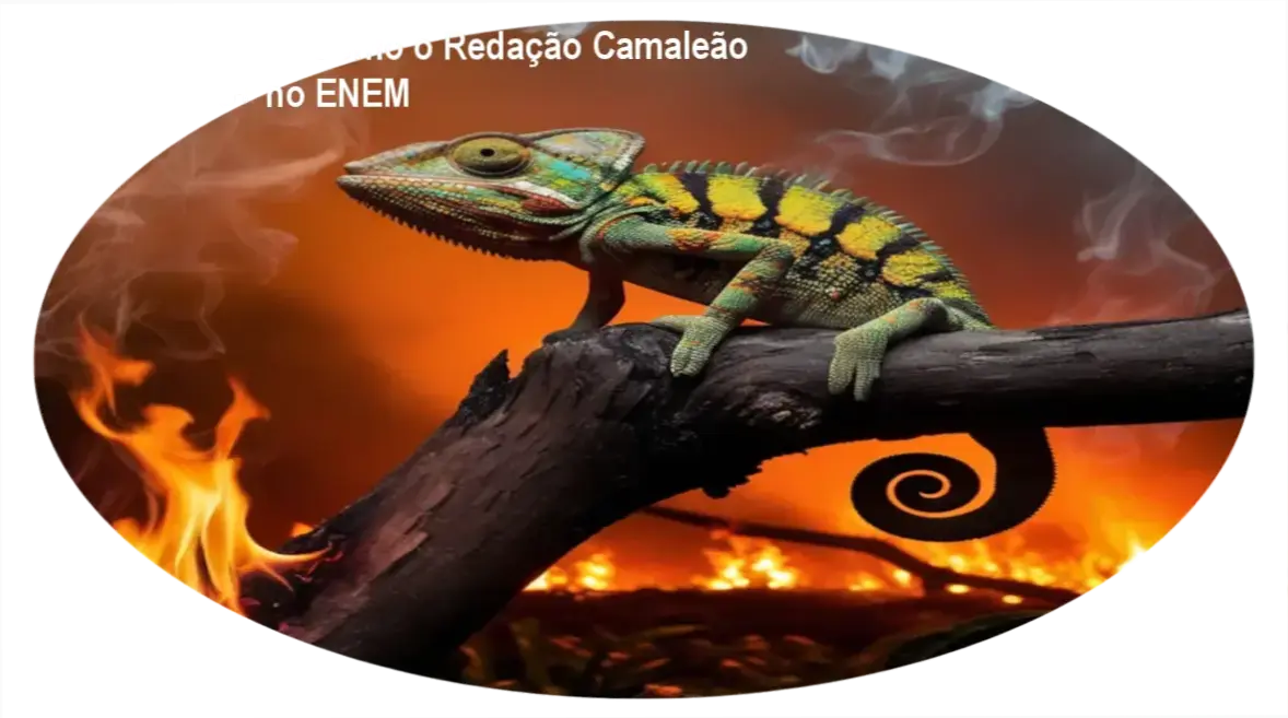 Dossiê Técnico: Como o Redação Camaleão Garante 900+ no ENEM 1 Curso de Memorização PDF Interface do Web App Redação Camaleão apresentando a estrutura estratégica para redações do ENEM